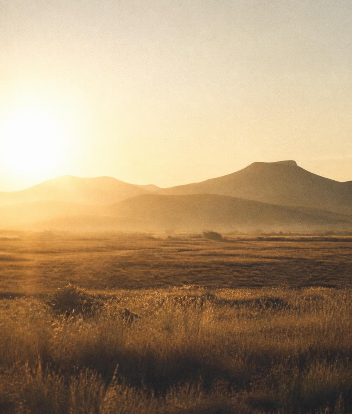 Golden grassland at sunrise with a mountain ridge behind it.