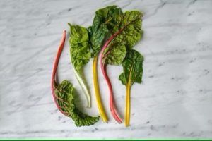 Beauty of Swiss Chard